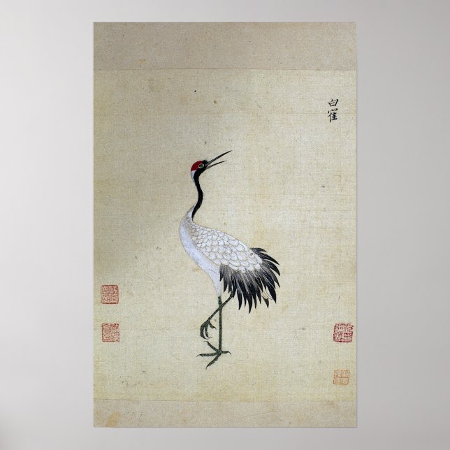 Siberian White Crane Poster (Front)