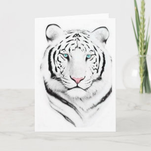 Siberian White Tiger Card