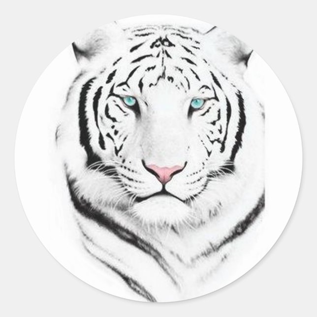 Siberian White Tiger Classic Round Sticker (Front)