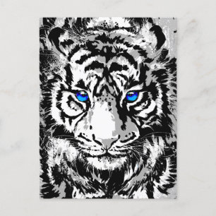 Siberian White Tiger Head - Tiger Blue Eyes Holiday Postcard