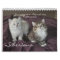Siberians Cats Kittens 2012 - 2013 Calendar