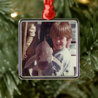 Sibling Memories Metal Ornament