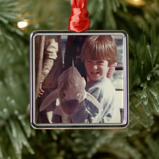 Sibling Memories Metal Ornament (Tree)