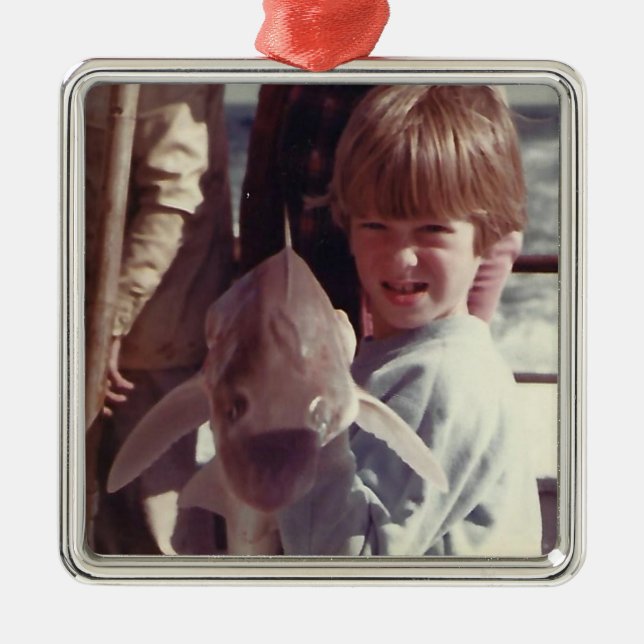 Sibling Memories Metal Tree Decoration (Front)