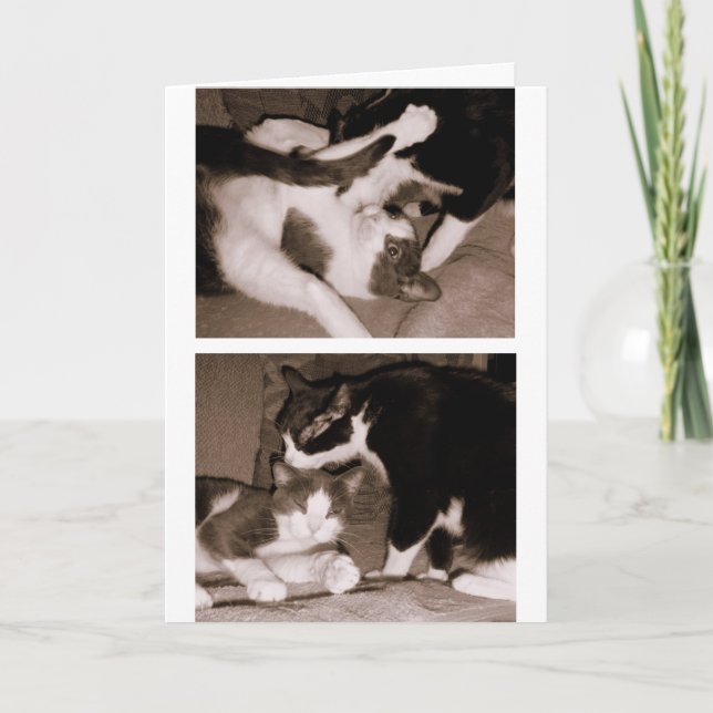 Siblings - Brothers & Sisters Card (Front)