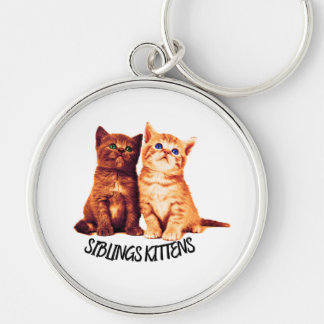 Siblings kittens, two cute cats key ring
