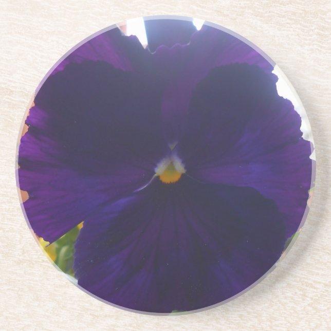 Sibylla Coaster (Front)