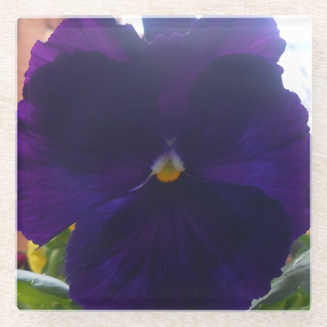 Sibylla Glass Coaster (Front)