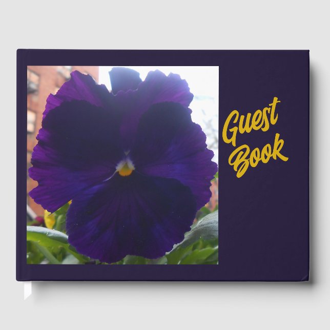 Sibylla Guest Book (Front)