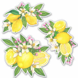 Sicilian Mediterranean Lemon Citrus Floral Sticker