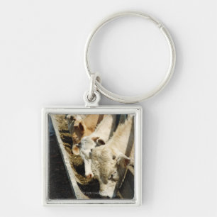 Sicily, Italy Key Ring