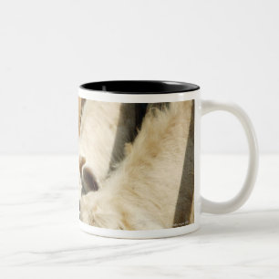 Sicily, Italy Two-Tone Coffee Mug