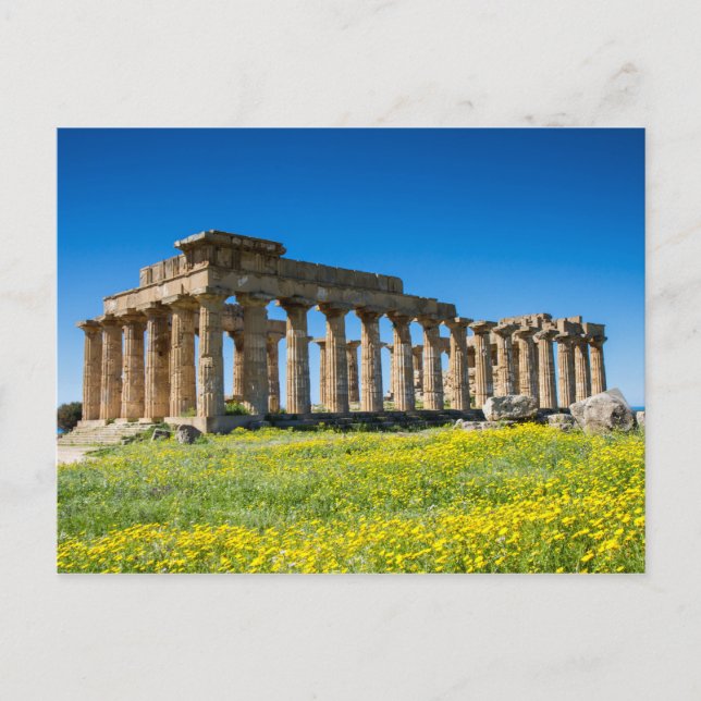 Sicily - Temple of Hera at Selinunte postcard (Front)