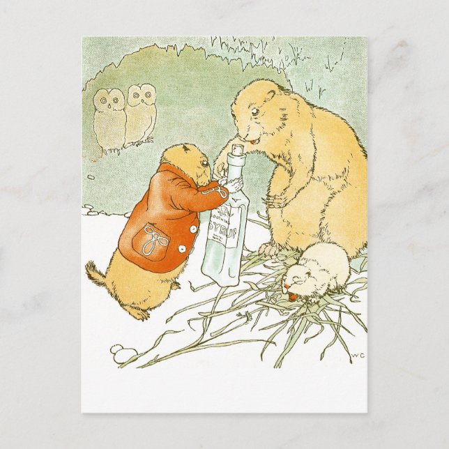 Sick Baby Prairie Dog Coughs Postcard (Front)