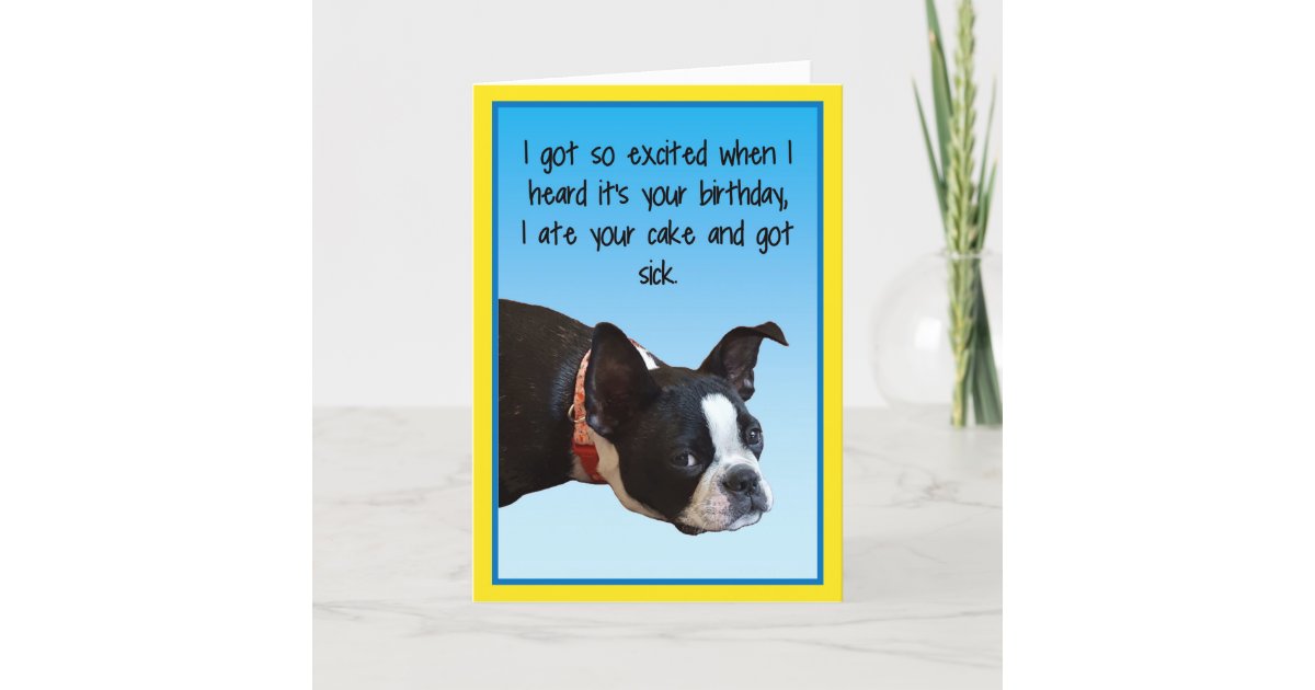 Sick Birthday Boston Card | Zazzle.co.uk