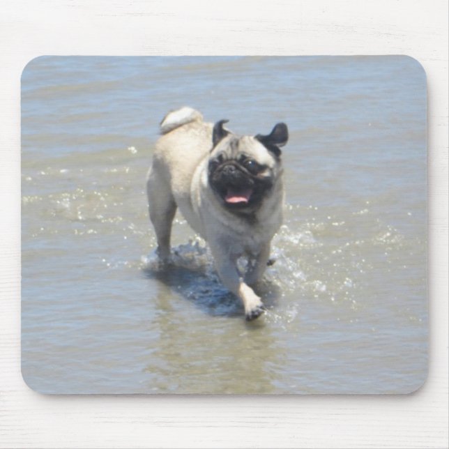 Sid the Pug at Dog Beach, San Diego, CA Mouse Mat (Front)