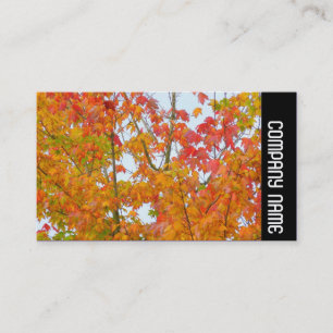 Side Band - Autumn Leaves Business Card