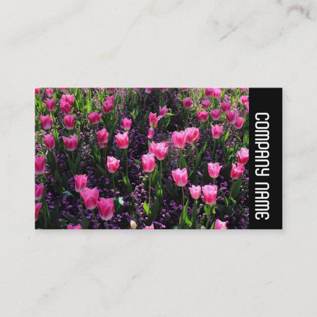 Side Band - Bed of Pink Tulips Business Card (Front)