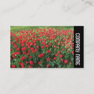 Side Band - Bed of Red Tulips 01 Business Card
