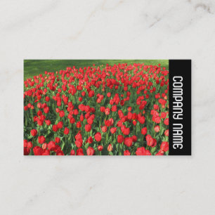 Side Band - Bed of Red Tulips 02 Business Card