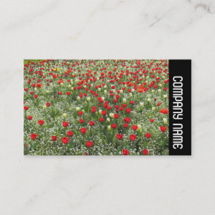 Side Band - Bed of Tulips Business Card
