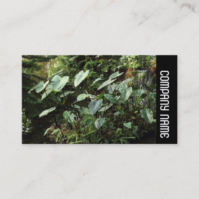 Side Band -  Botanical Gardens Business Card (Front)