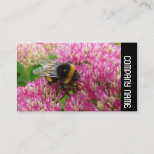 Side Band - Bumble Bee on Sedum Business Card