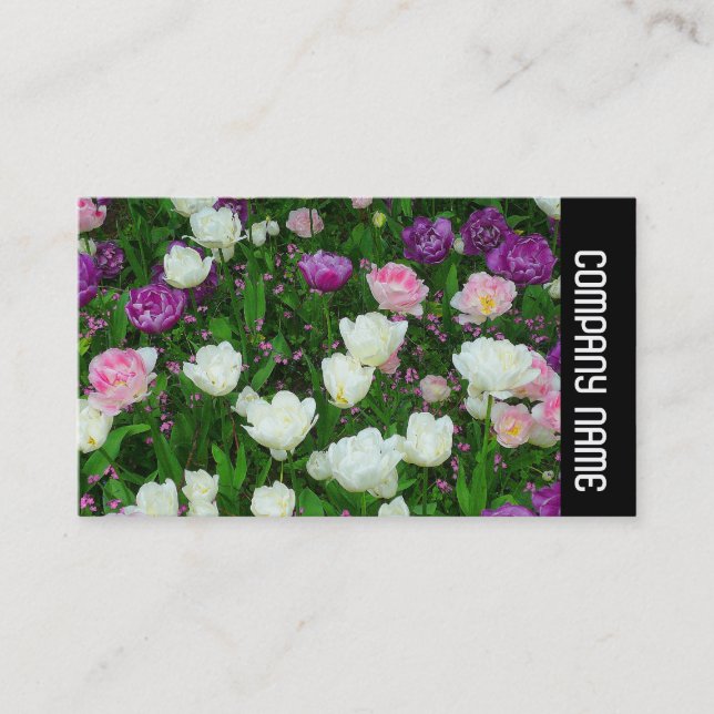 Side Band - Colourful Tulips Business Card (Front)