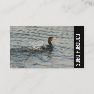 Side Band - Cormorant Learning to Swim Business Card