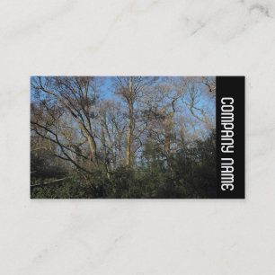 Side Band - Dancing Trees Business Card