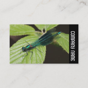 Side Band -  Dragonfly Business Card