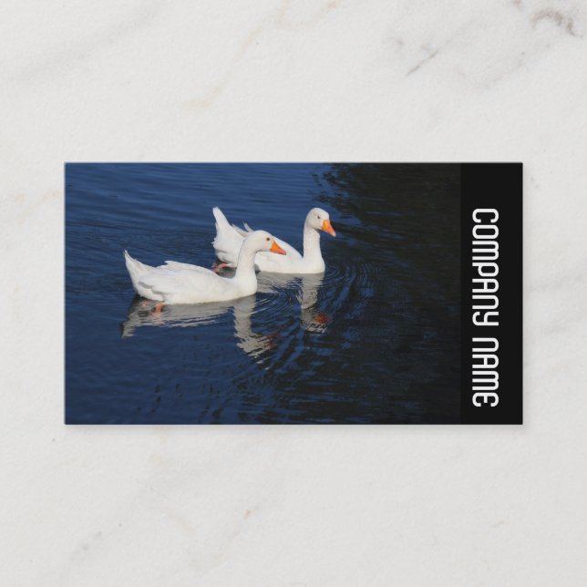 Side Band -  Emden Geese Business Card (Front)