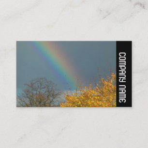 Side Band - End of the Rainbow Business Card