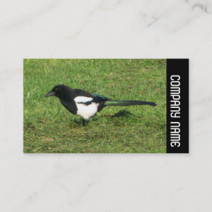 Side Band - European Magpie Business Card