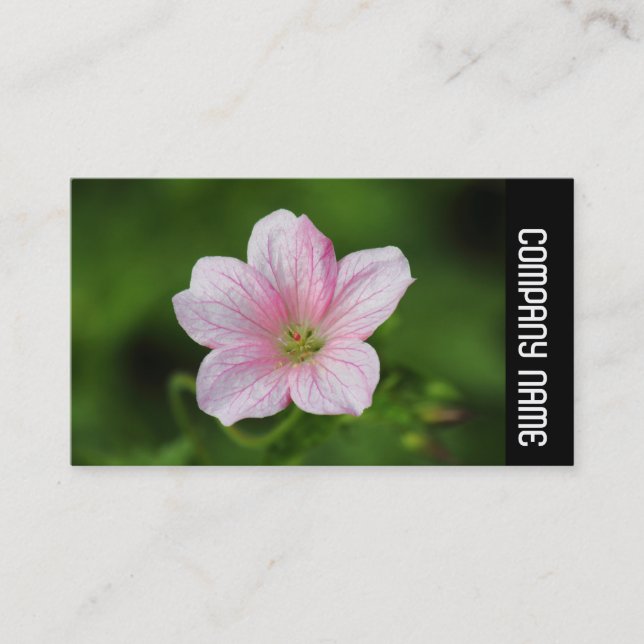 Side Band -  Geranium Business Card (Front)