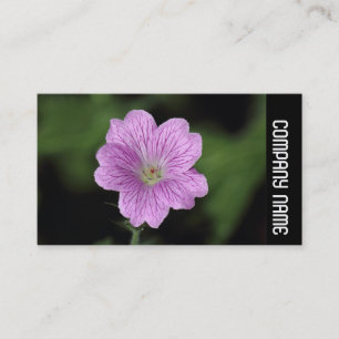 Side Band - Geranium Endressii Business Card
