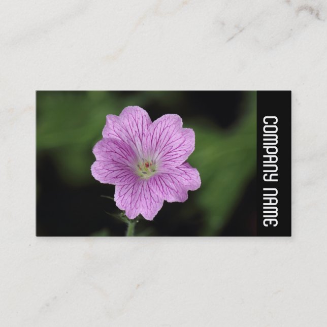 Side Band -  Geranium Endressii Business Card (Front)