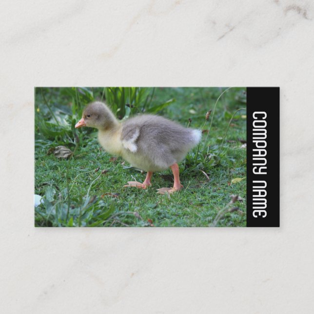 Side Band -  Gosling 02 Business Card (Front)