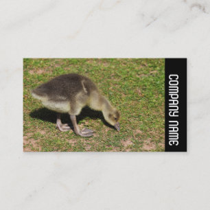 Side Band -  Gosling Business Card