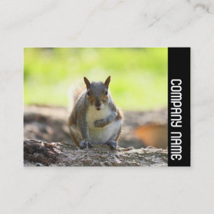 Side Band - Grey Squirrel Business Card