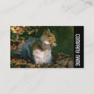 Side Band - Grey Squirrel Business Card