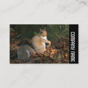 Side Band - Grey Squirrel Business Card