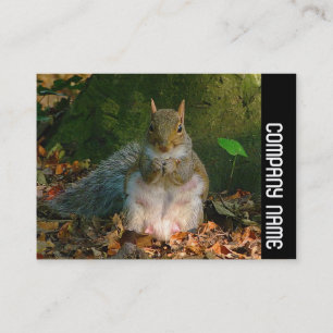 Side Band - Grey Squirrel Business Card