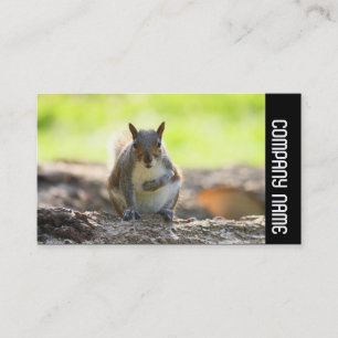 Side Band - Grey Squirrel Business Card
