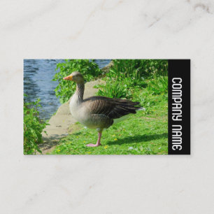 Side Band - Greylag Goose Business Card
