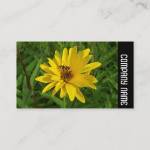 Side Band - Hover Fly on a Yellow Chrysanthemum Business Card