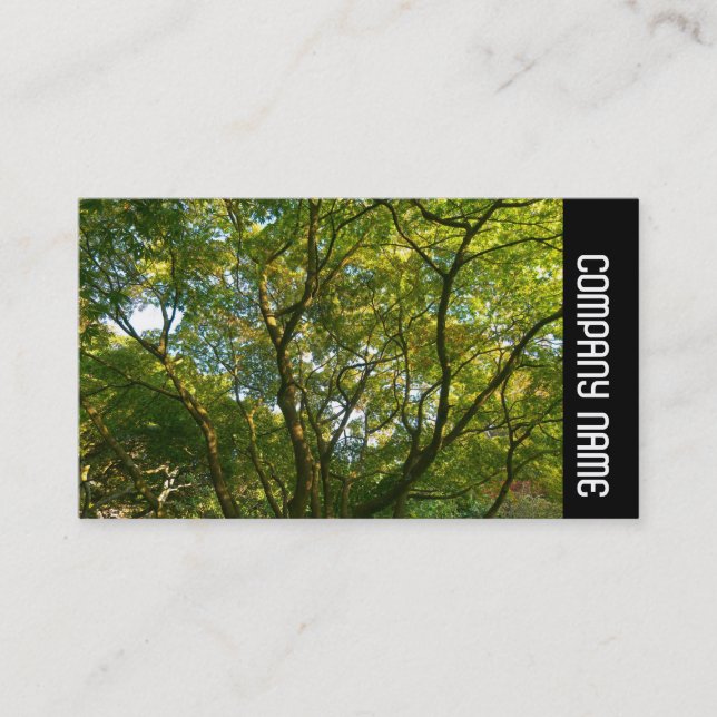 Side Band -  Japanese Branches 06 Business Card (Front)