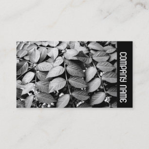 Side Band - Leaves Business Card