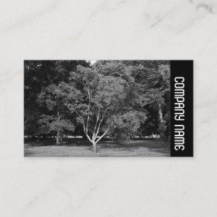 Side Band - Magnolia Tree BW Business Card