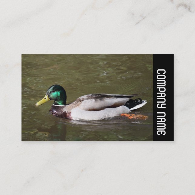 Side Band -  Mallard Duck Business Card (Front)